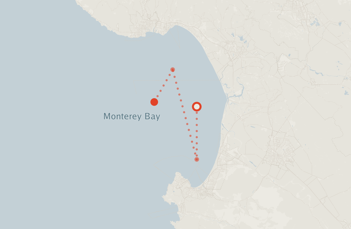 Activity map — real sighting points on an OpenStreetMap basemap