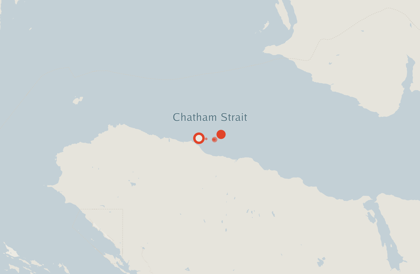 Activity map — real sighting points on an OpenStreetMap basemap