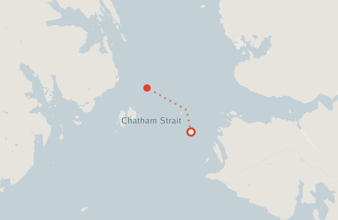 Activity map — real sighting points on an OpenStreetMap basemap