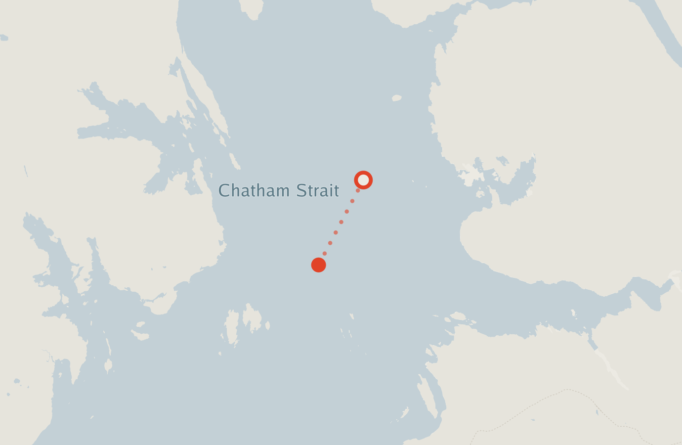 Activity map — real sighting points on an OpenStreetMap basemap