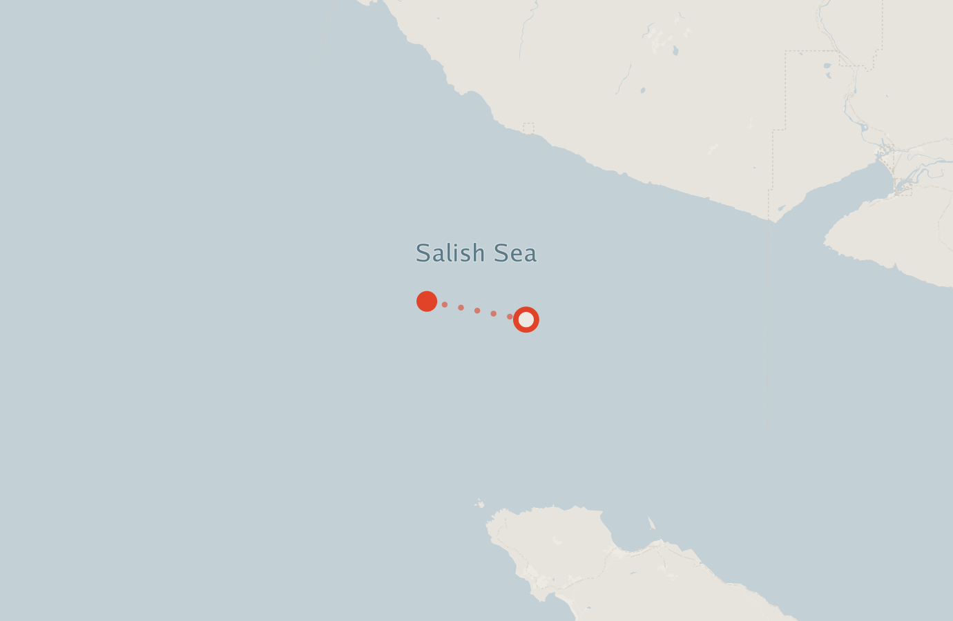 Activity map — real sighting points on an OpenStreetMap basemap