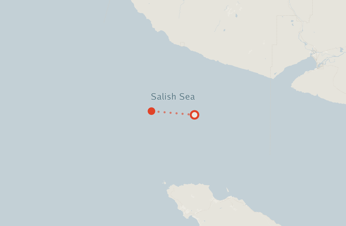 Activity map — real sighting points on an OpenStreetMap basemap