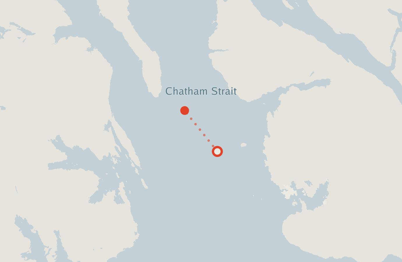 Activity map — real sighting points on an OpenStreetMap basemap