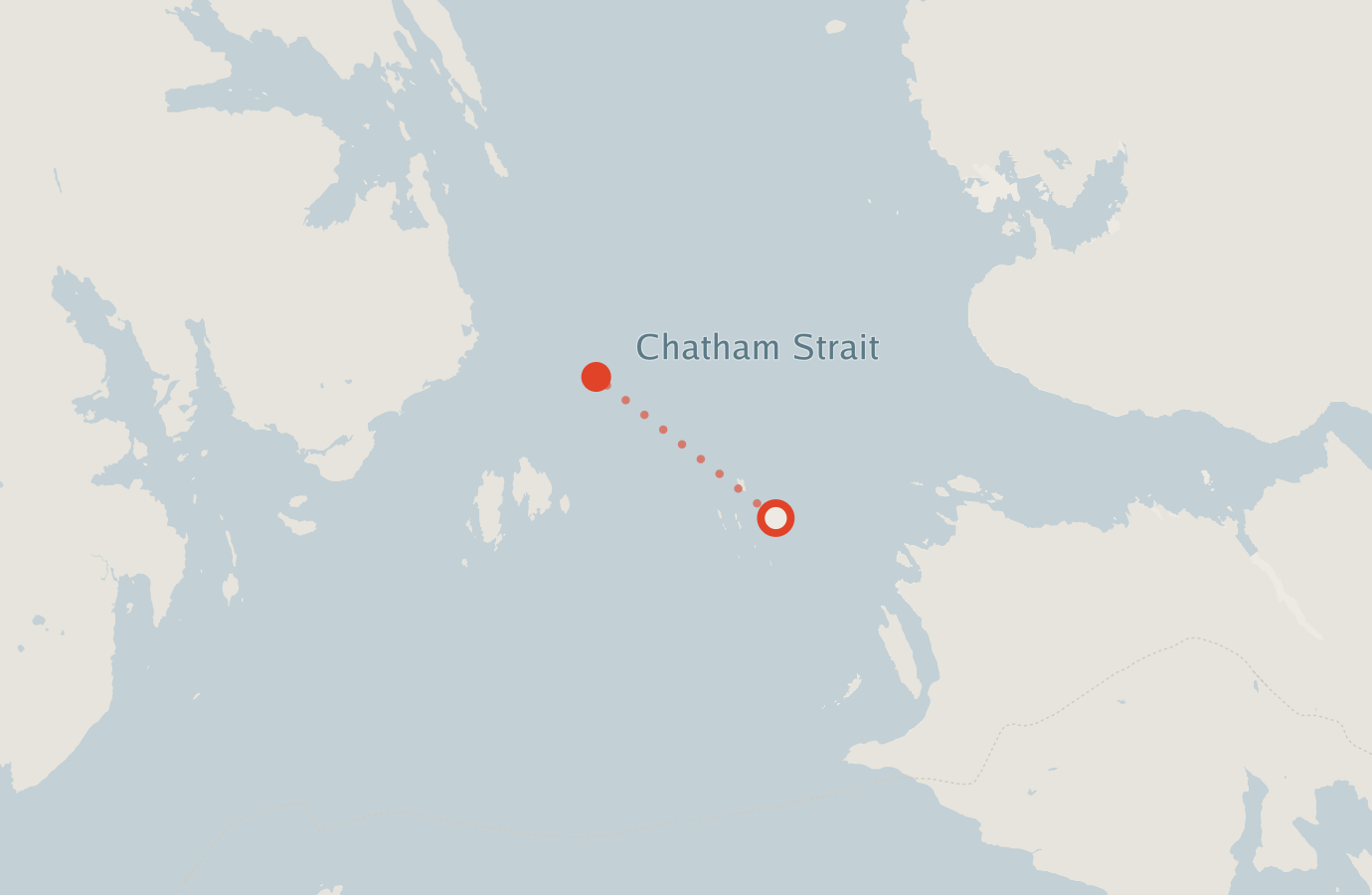Activity map — real sighting points on an OpenStreetMap basemap