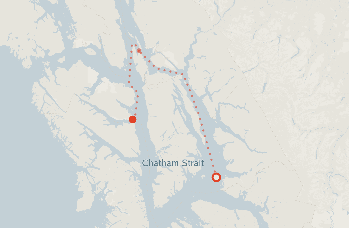 Activity map — real sighting points on an OpenStreetMap basemap