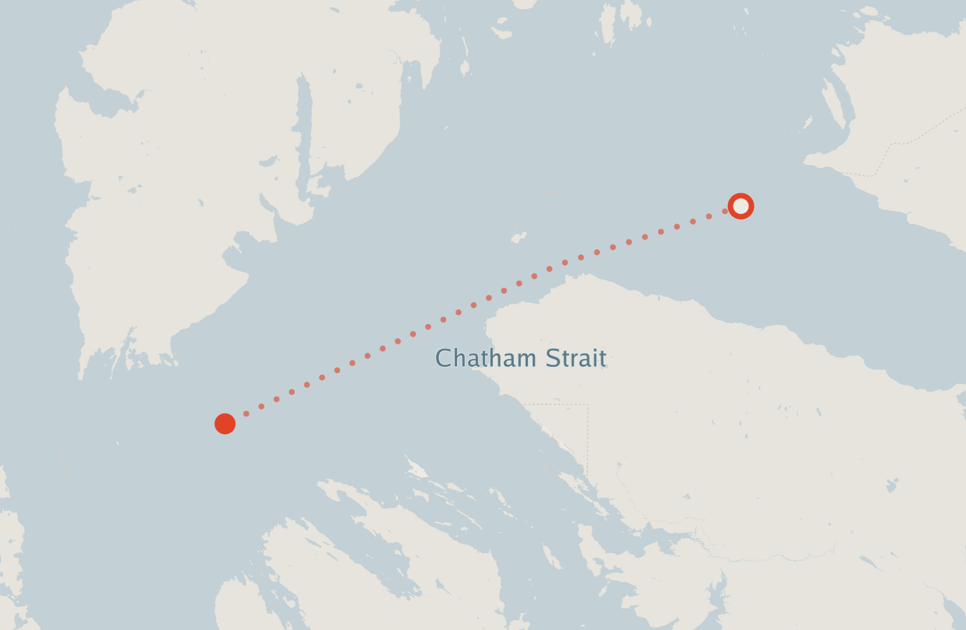 Activity map — real sighting points on an OpenStreetMap basemap
