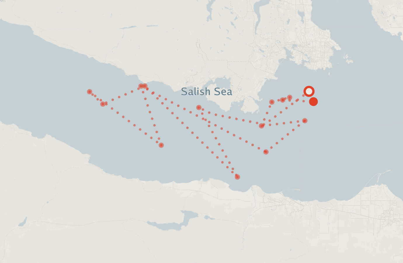 Activity map — real sighting points on an OpenStreetMap basemap