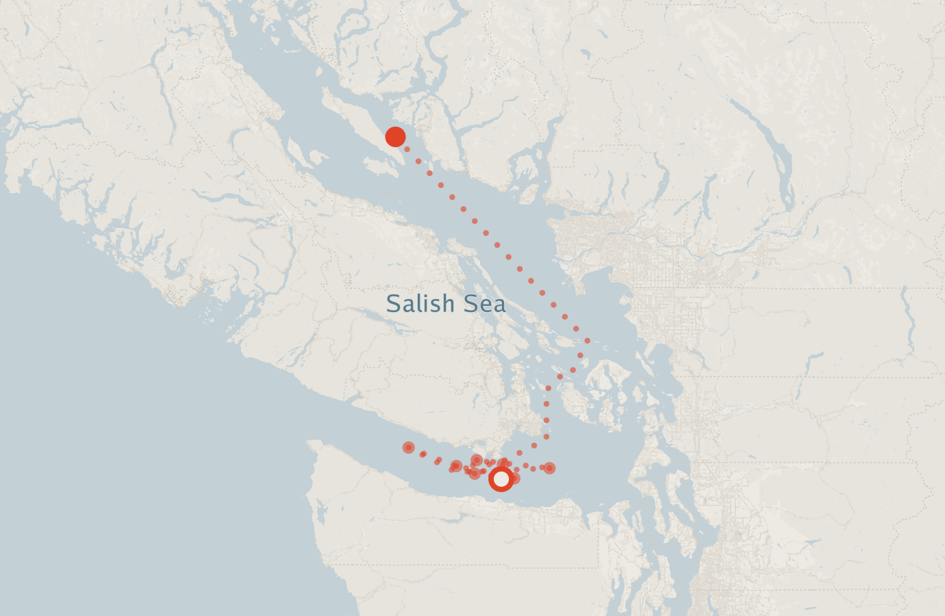 Activity map — real sighting points on an OpenStreetMap basemap