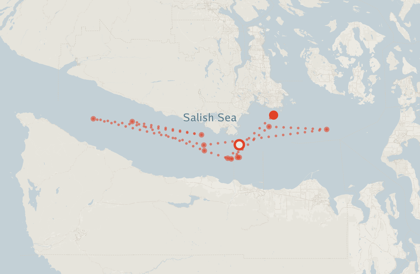 Activity map — real sighting points on an OpenStreetMap basemap