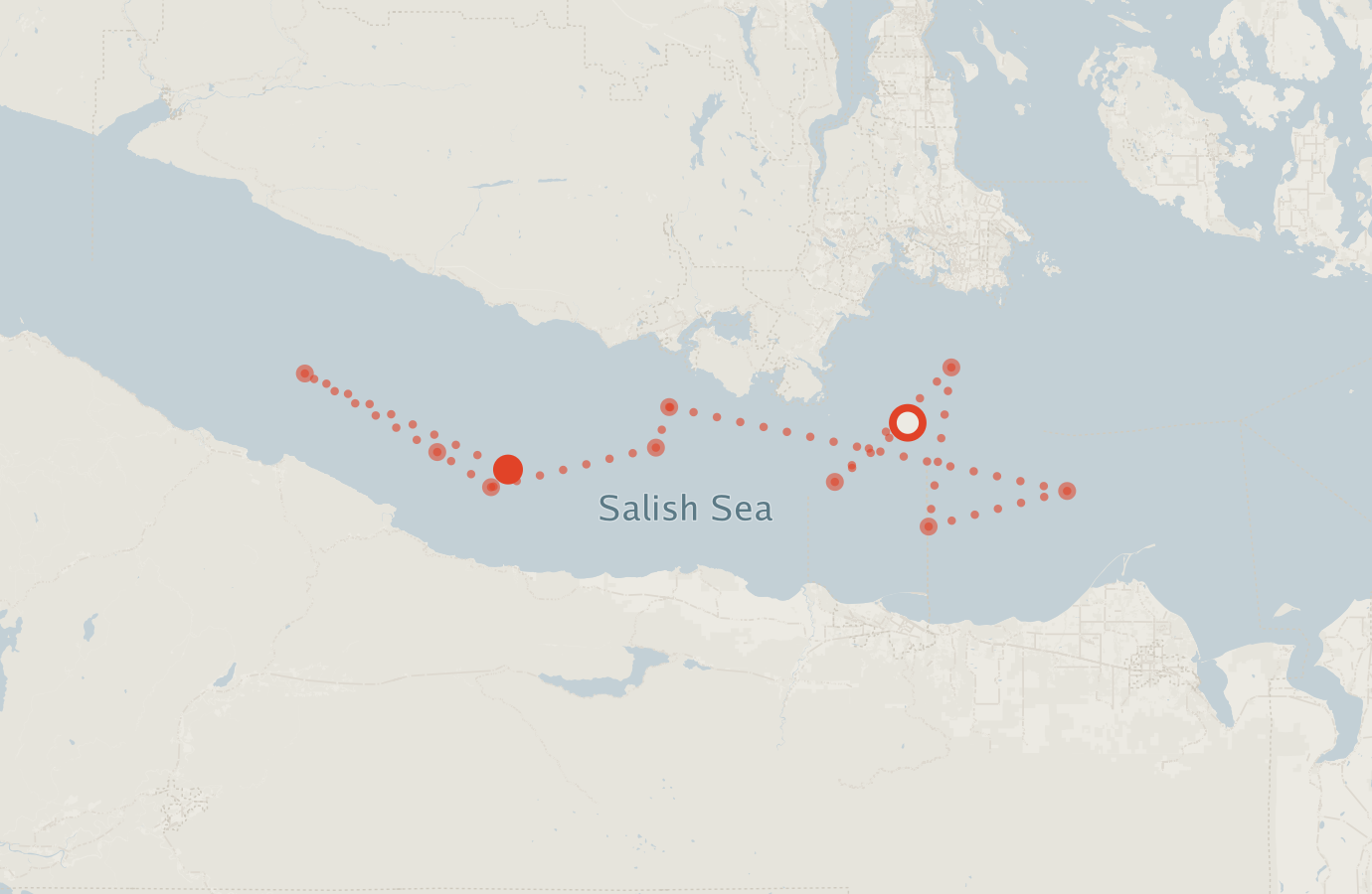 Activity map — real sighting points on an OpenStreetMap basemap