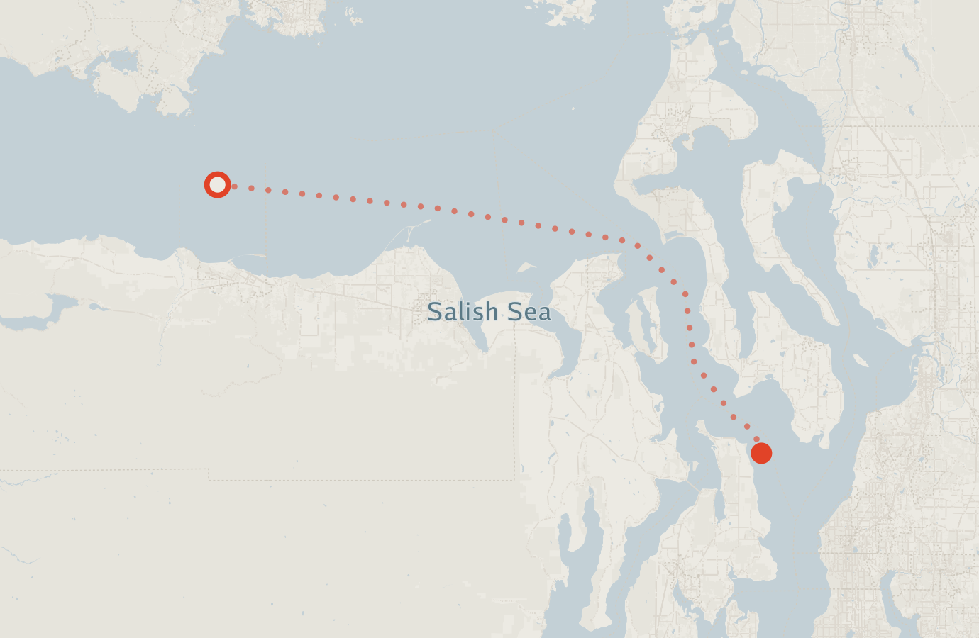Activity map — real sighting points on an OpenStreetMap basemap