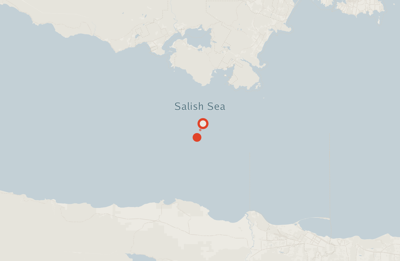 Activity map — real sighting points on an OpenStreetMap basemap
