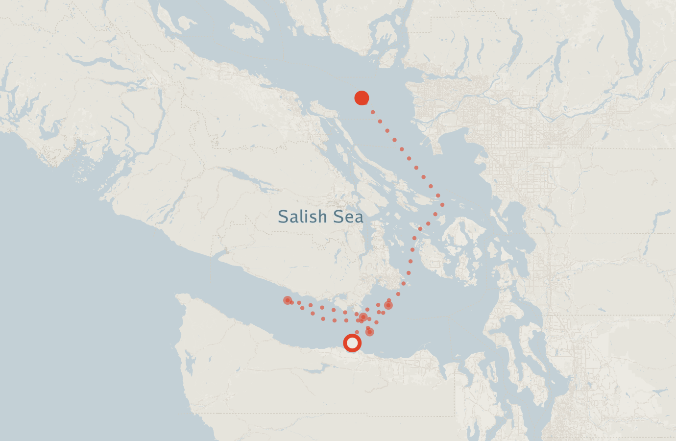 Activity map — real sighting points on an OpenStreetMap basemap