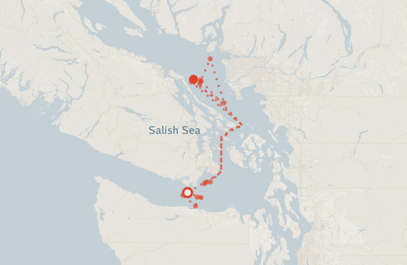 Activity map — real sighting points on an OpenStreetMap basemap