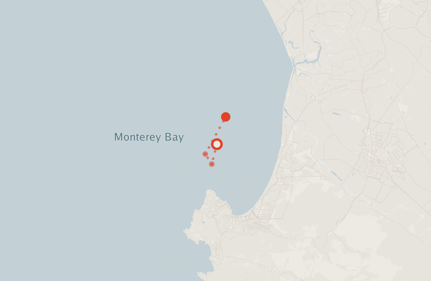 Activity map — real sighting points on an OpenStreetMap basemap