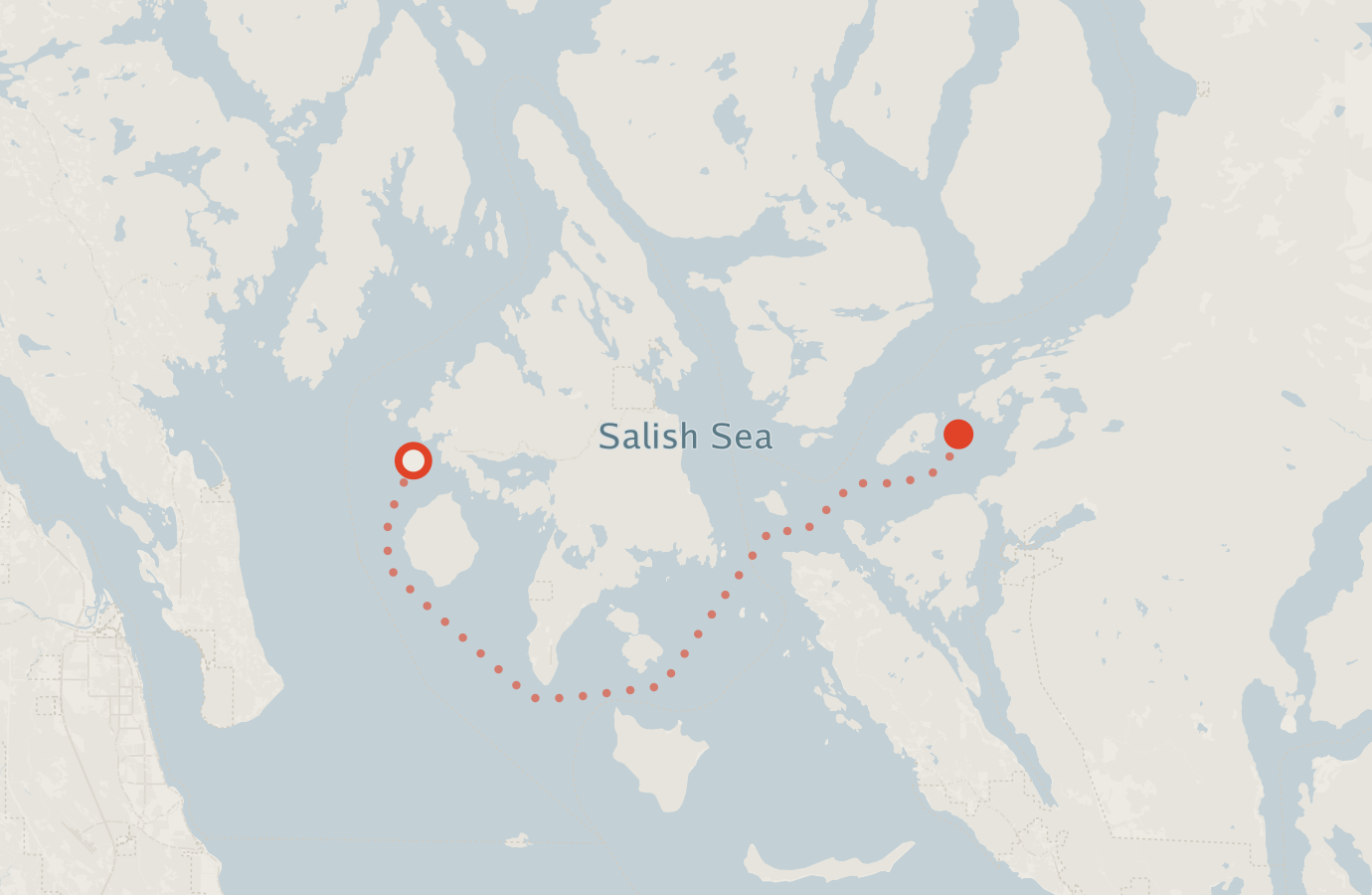 Activity map — real sighting points on an OpenStreetMap basemap