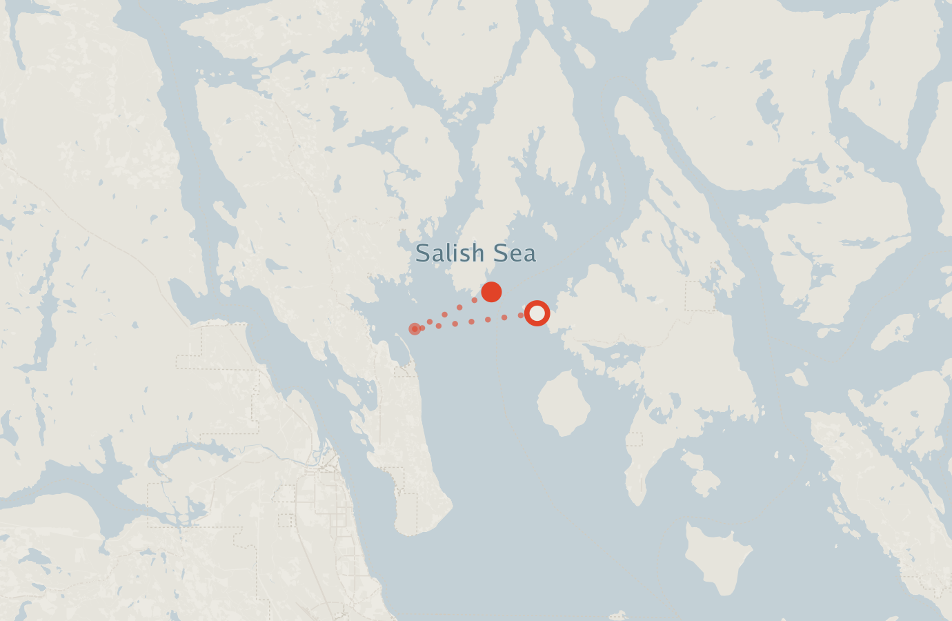 Activity map — real sighting points on an OpenStreetMap basemap