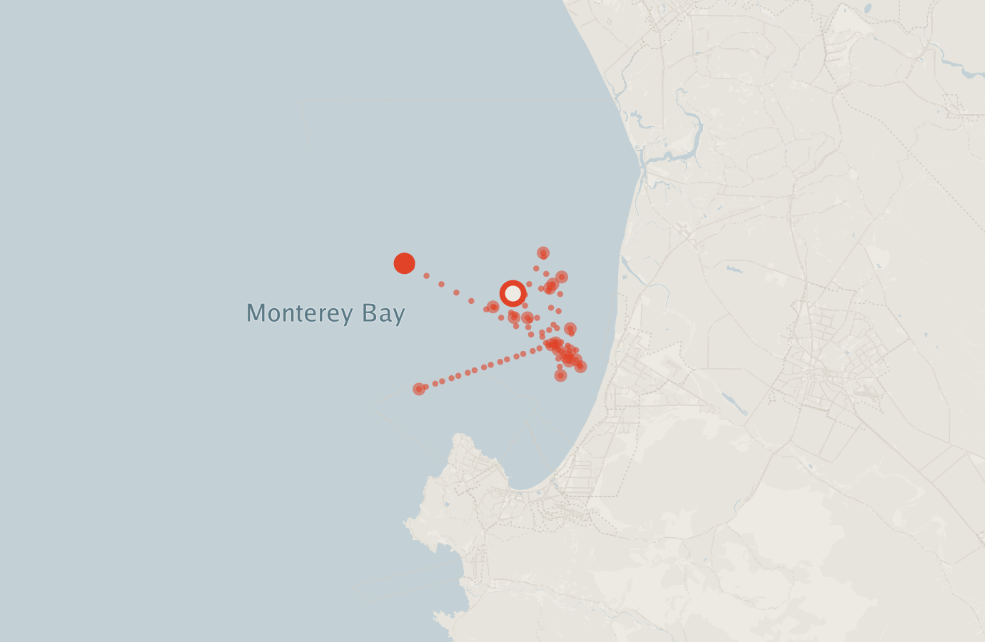 Activity map — real sighting points on an OpenStreetMap basemap
