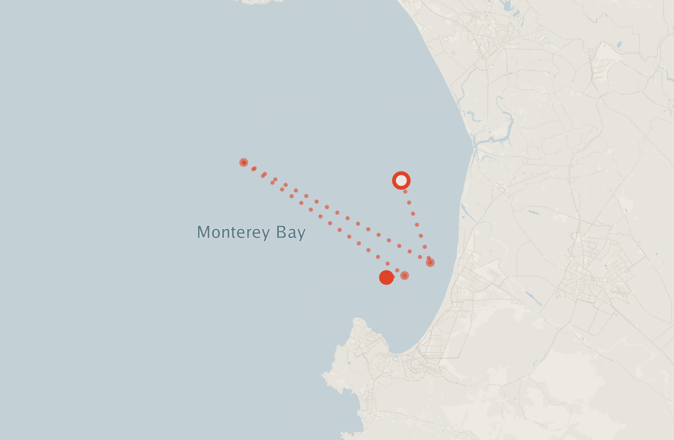 Activity map — real sighting points on an OpenStreetMap basemap