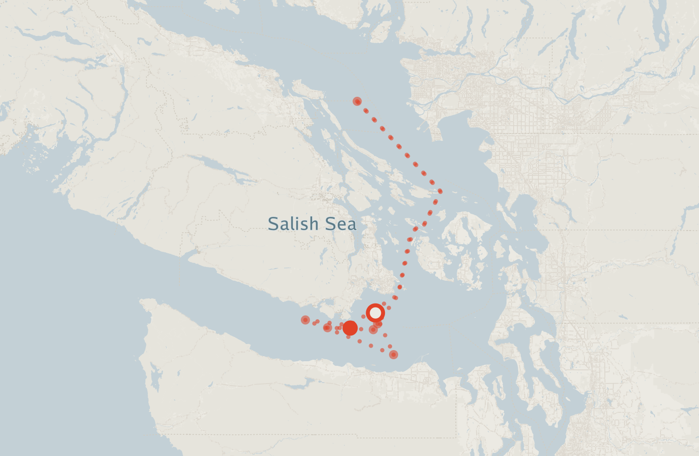Activity map — real sighting points on an OpenStreetMap basemap