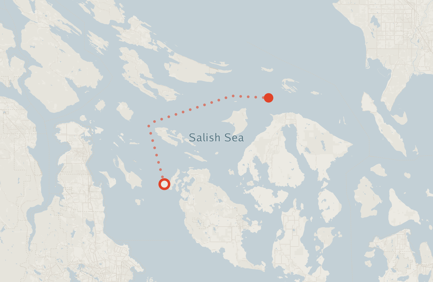 Activity map — real sighting points on an OpenStreetMap basemap