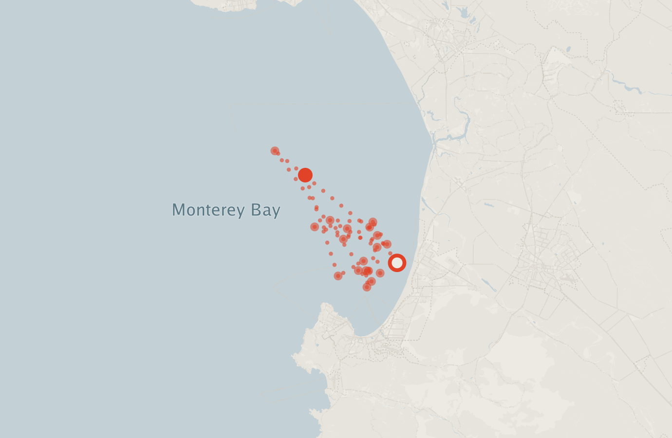Activity map — real sighting points on an OpenStreetMap basemap