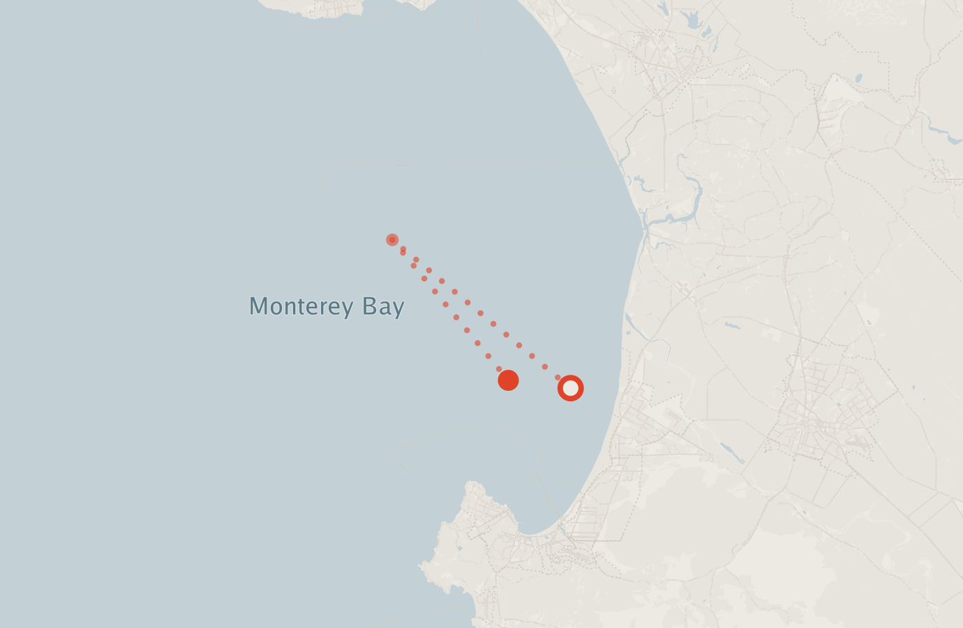 Activity map — real sighting points on an OpenStreetMap basemap