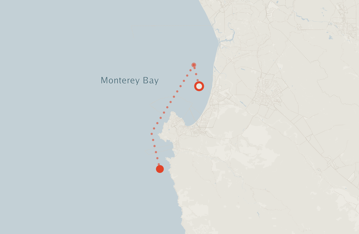 Activity map — real sighting points on an OpenStreetMap basemap