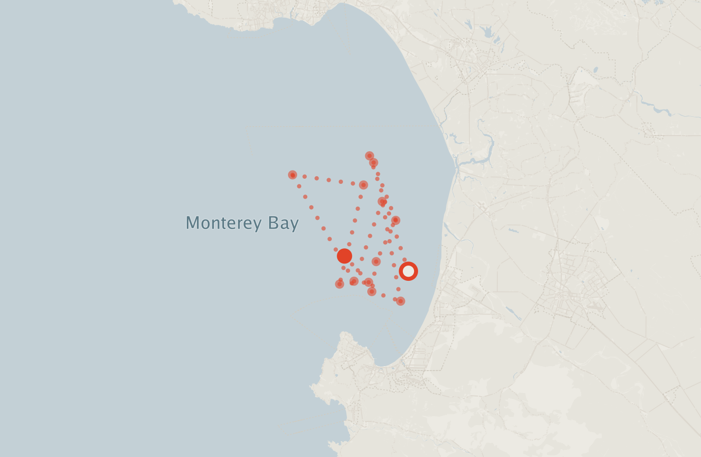 Activity map — real sighting points on an OpenStreetMap basemap