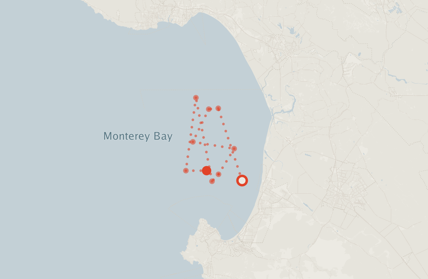 Activity map — real sighting points on an OpenStreetMap basemap