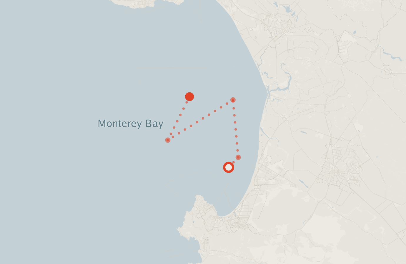 Activity map — real sighting points on an OpenStreetMap basemap