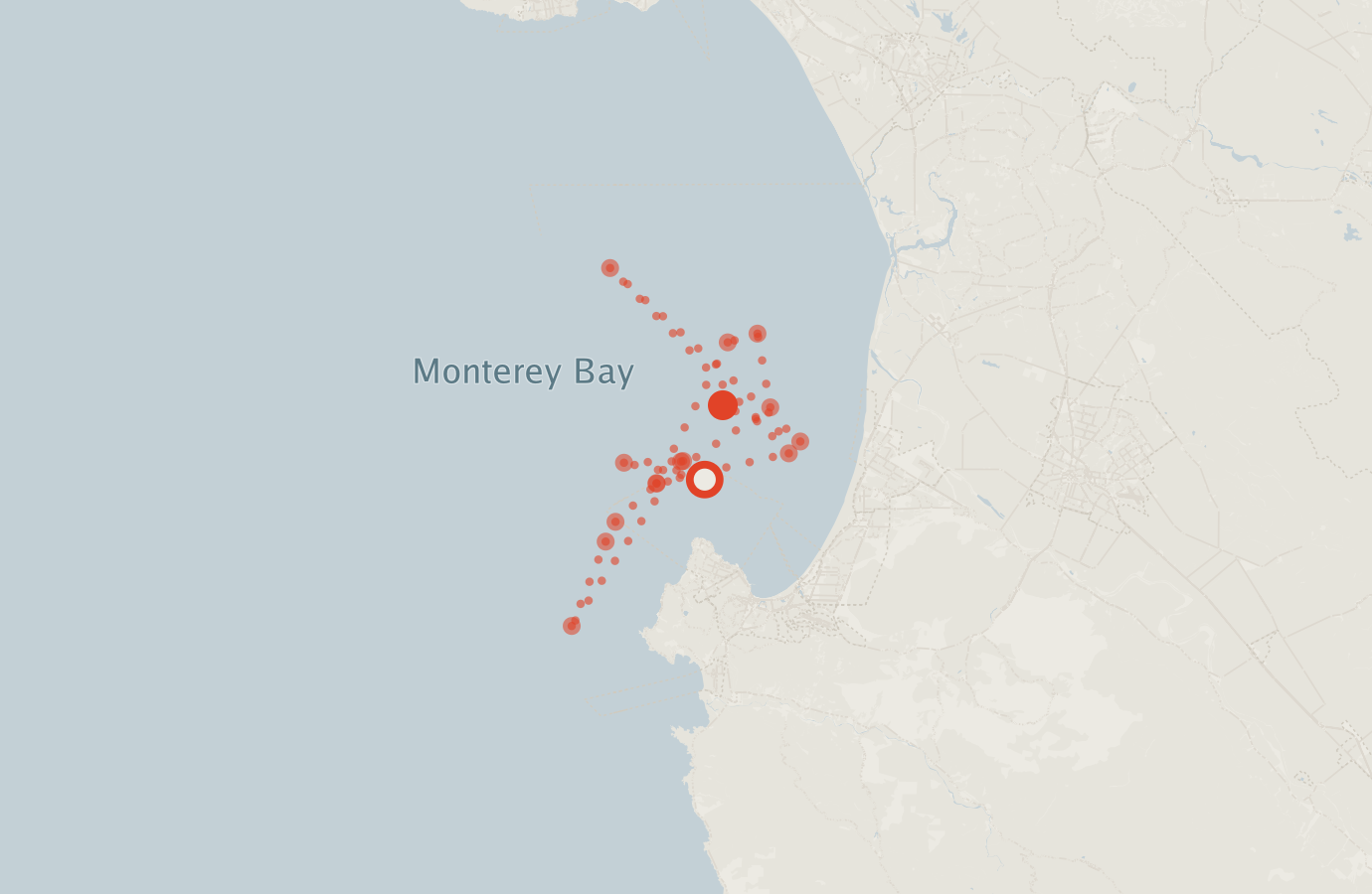 Activity map — real sighting points on an OpenStreetMap basemap