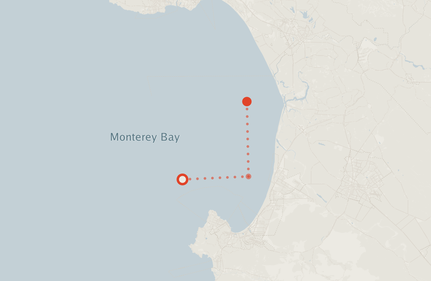 Activity map — real sighting points on an OpenStreetMap basemap