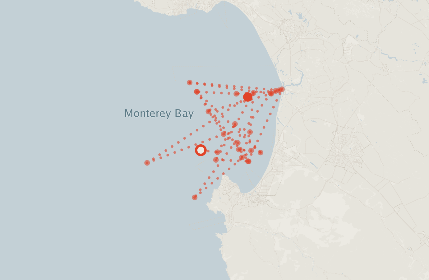 Activity map — real sighting points on an OpenStreetMap basemap