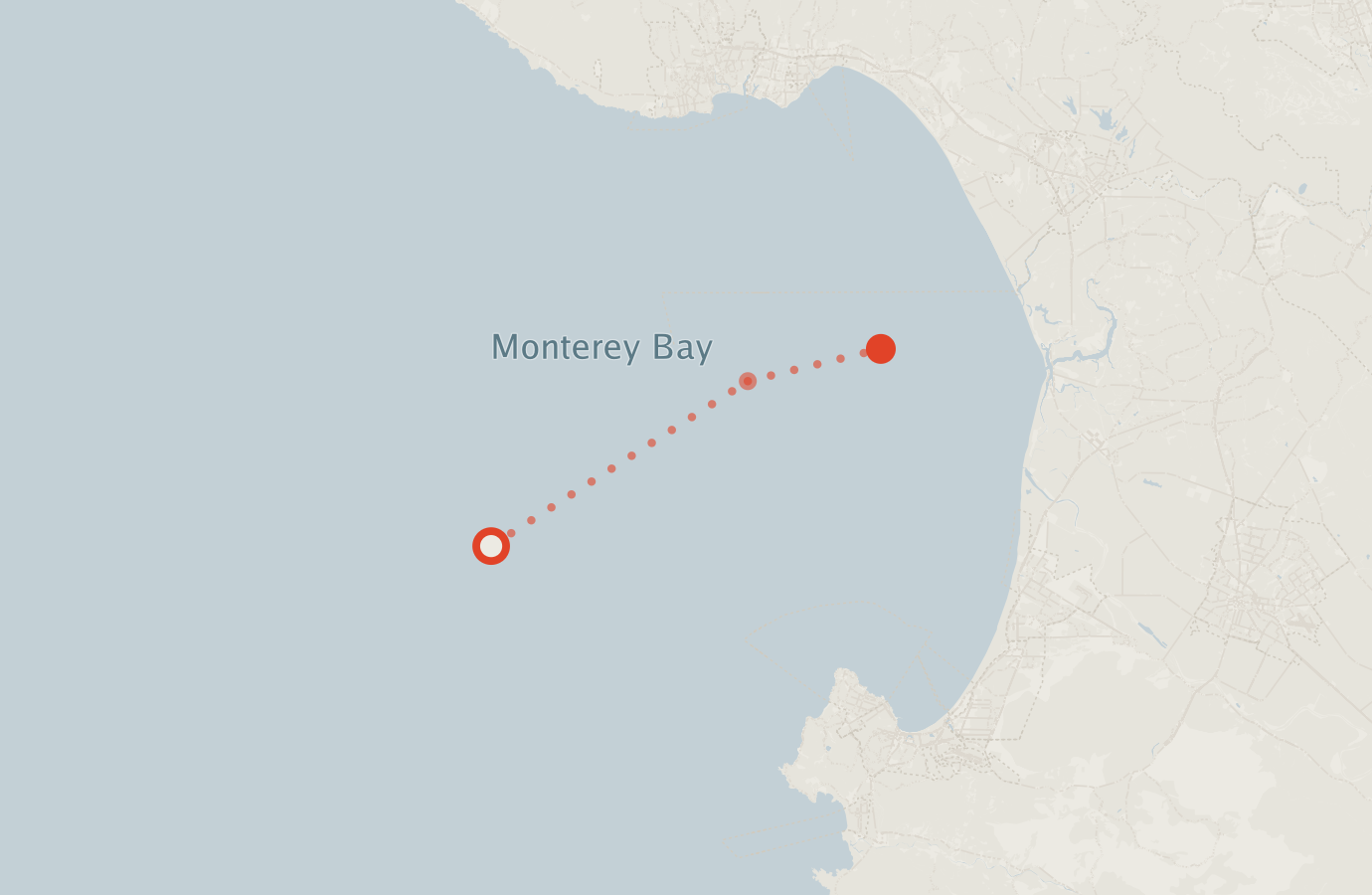 Activity map — real sighting points on an OpenStreetMap basemap