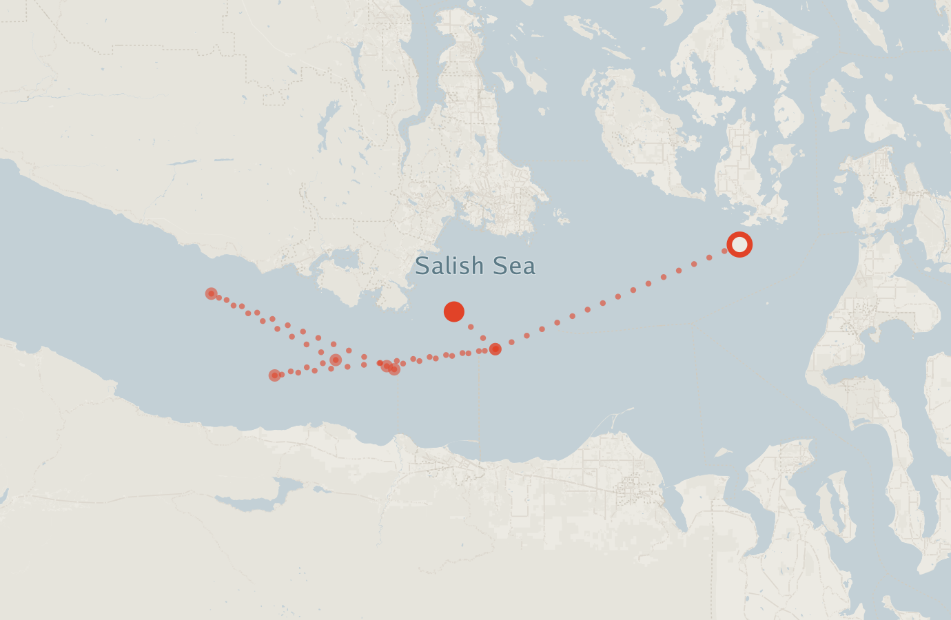 Activity map — real sighting points on an OpenStreetMap basemap