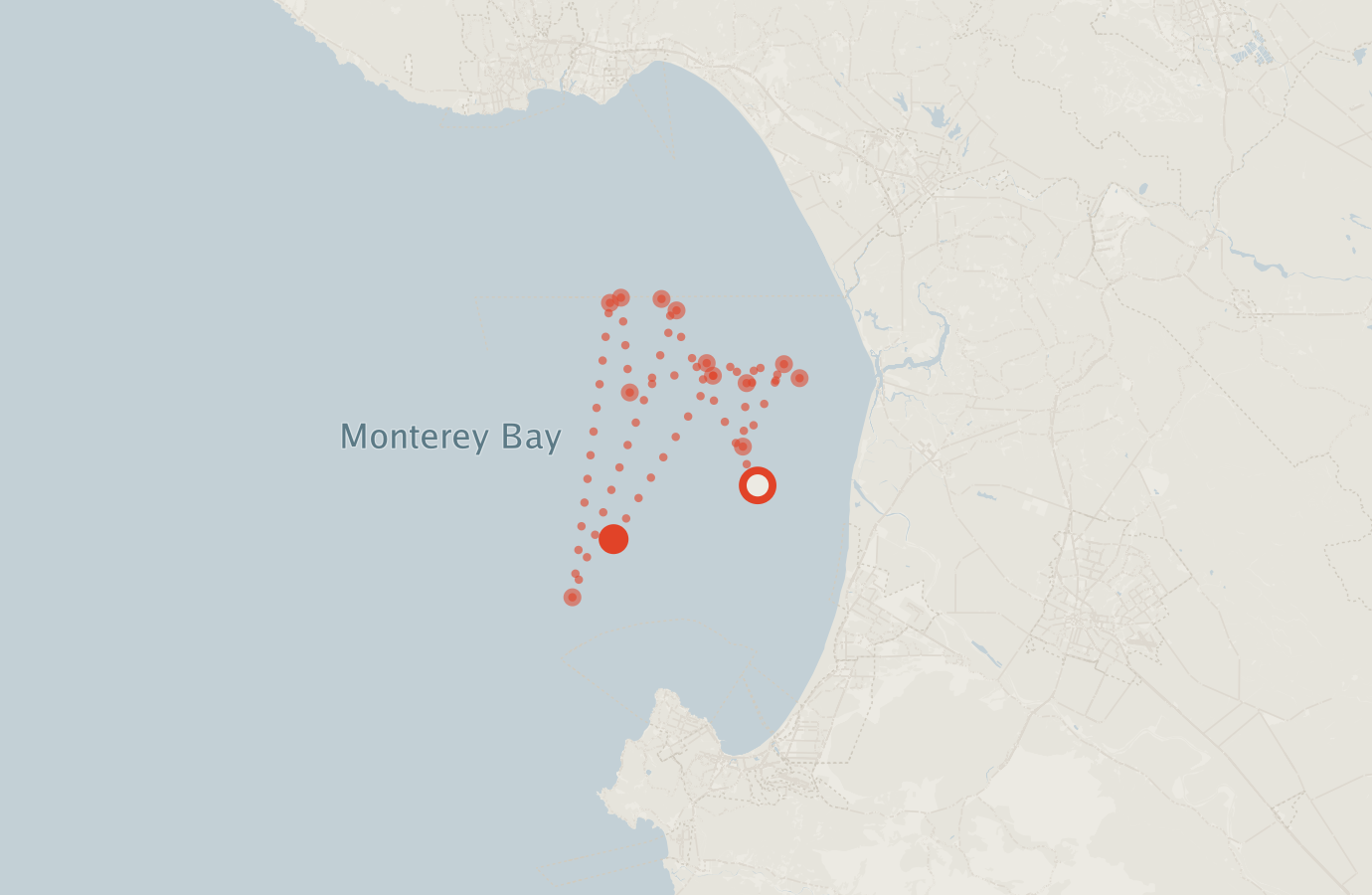 Activity map — real sighting points on an OpenStreetMap basemap