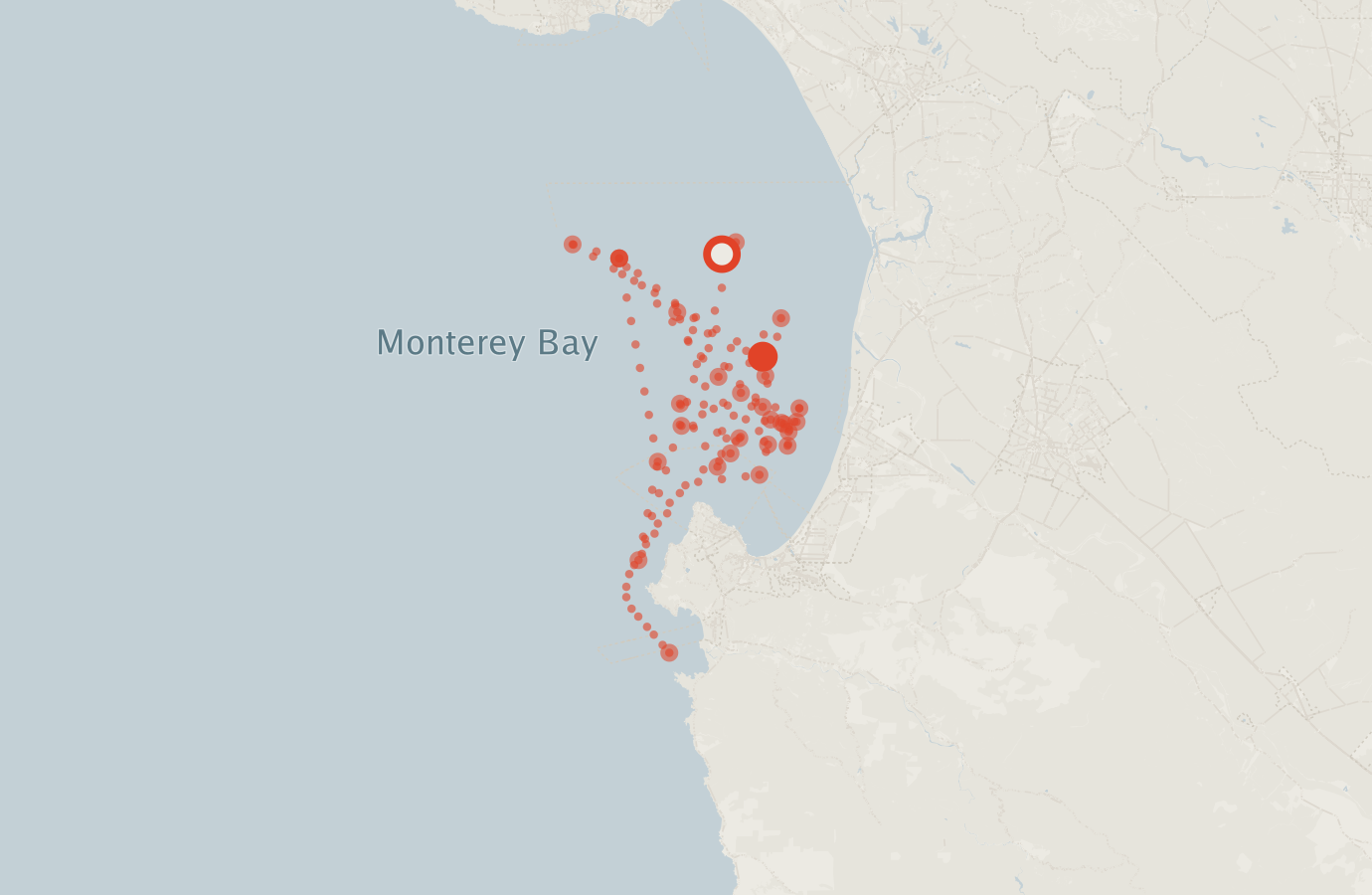 Activity map — real sighting points on an OpenStreetMap basemap
