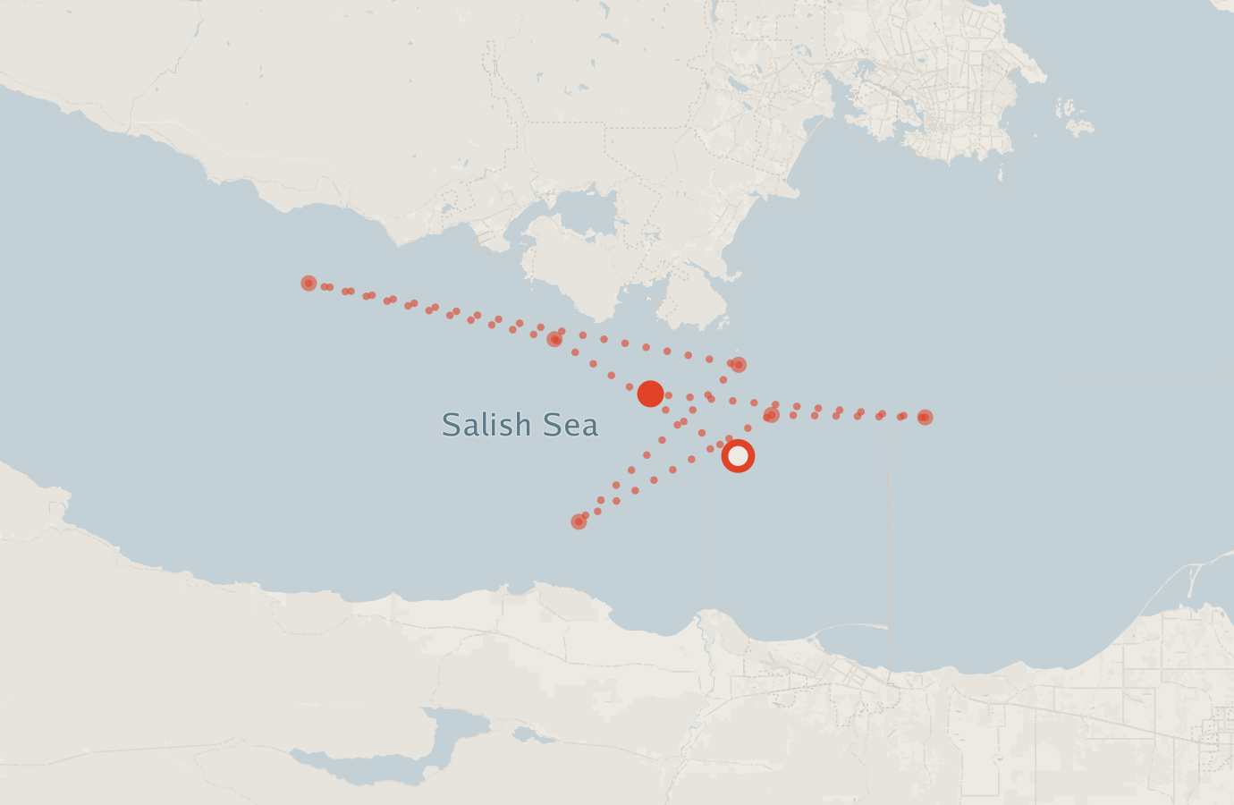Activity map — real sighting points on an OpenStreetMap basemap