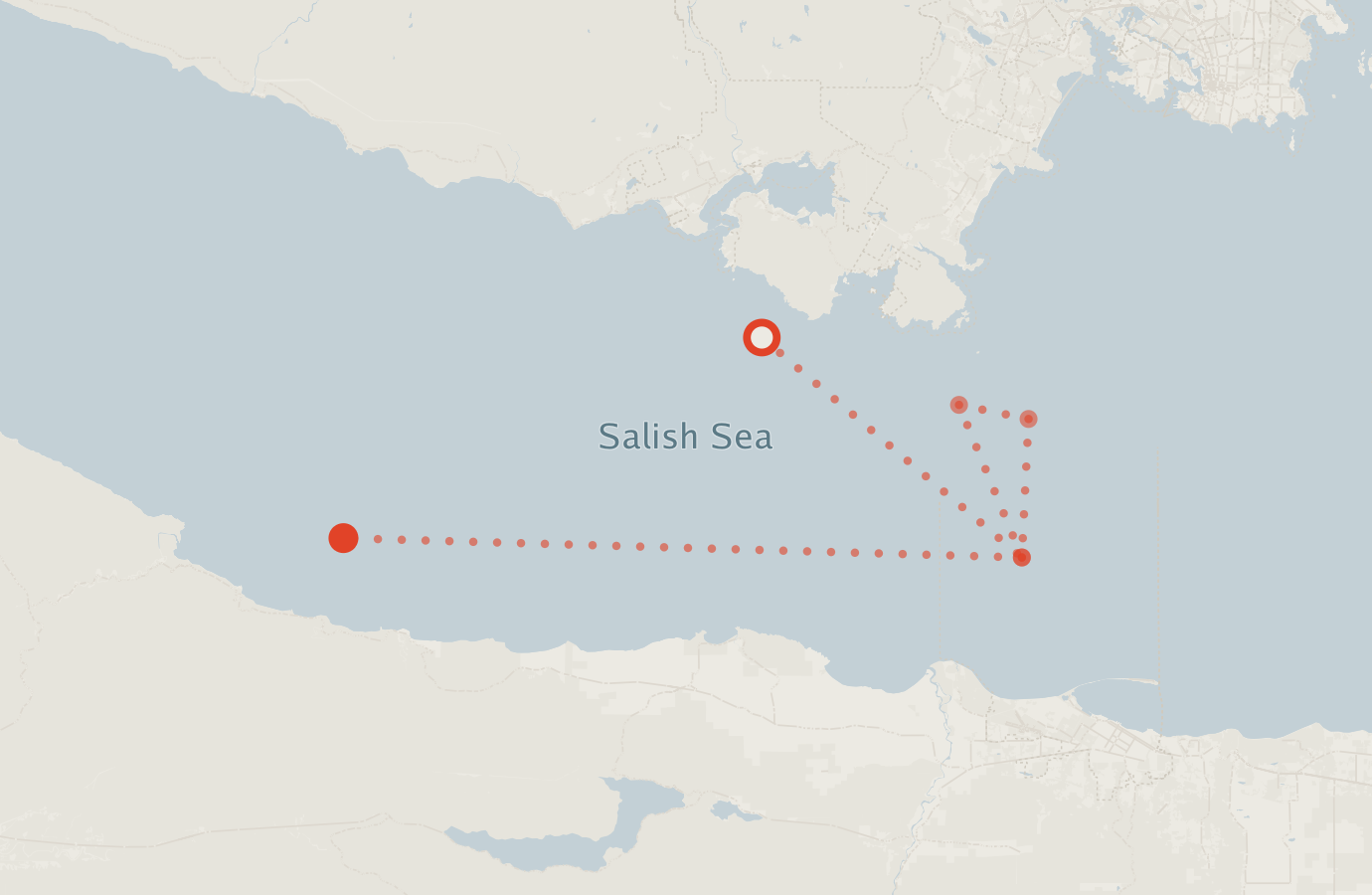 Activity map — real sighting points on an OpenStreetMap basemap