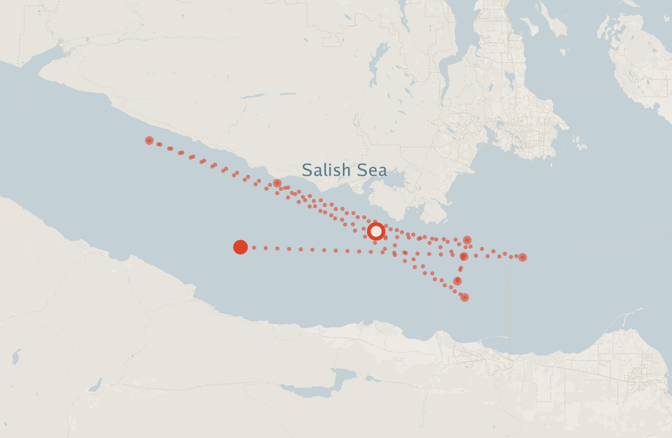 Activity map — real sighting points on an OpenStreetMap basemap