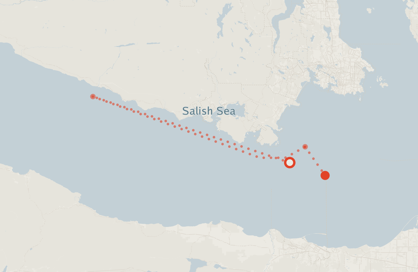 Activity map — real sighting points on an OpenStreetMap basemap