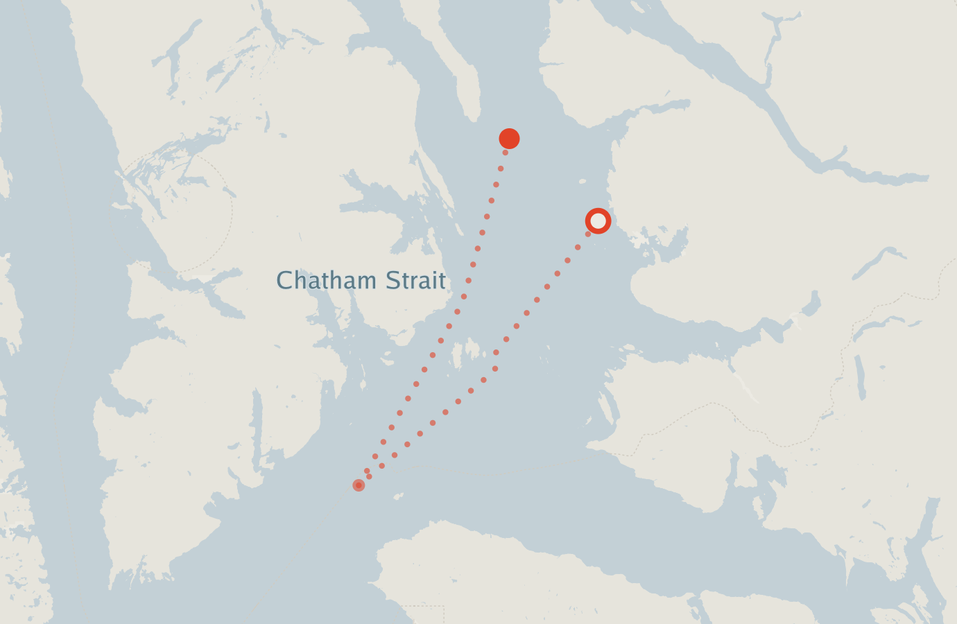 Activity map — real sighting points on an OpenStreetMap basemap