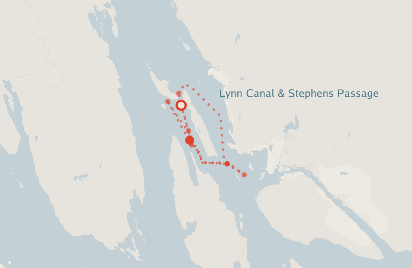 Activity map — real sighting points on an OpenStreetMap basemap
