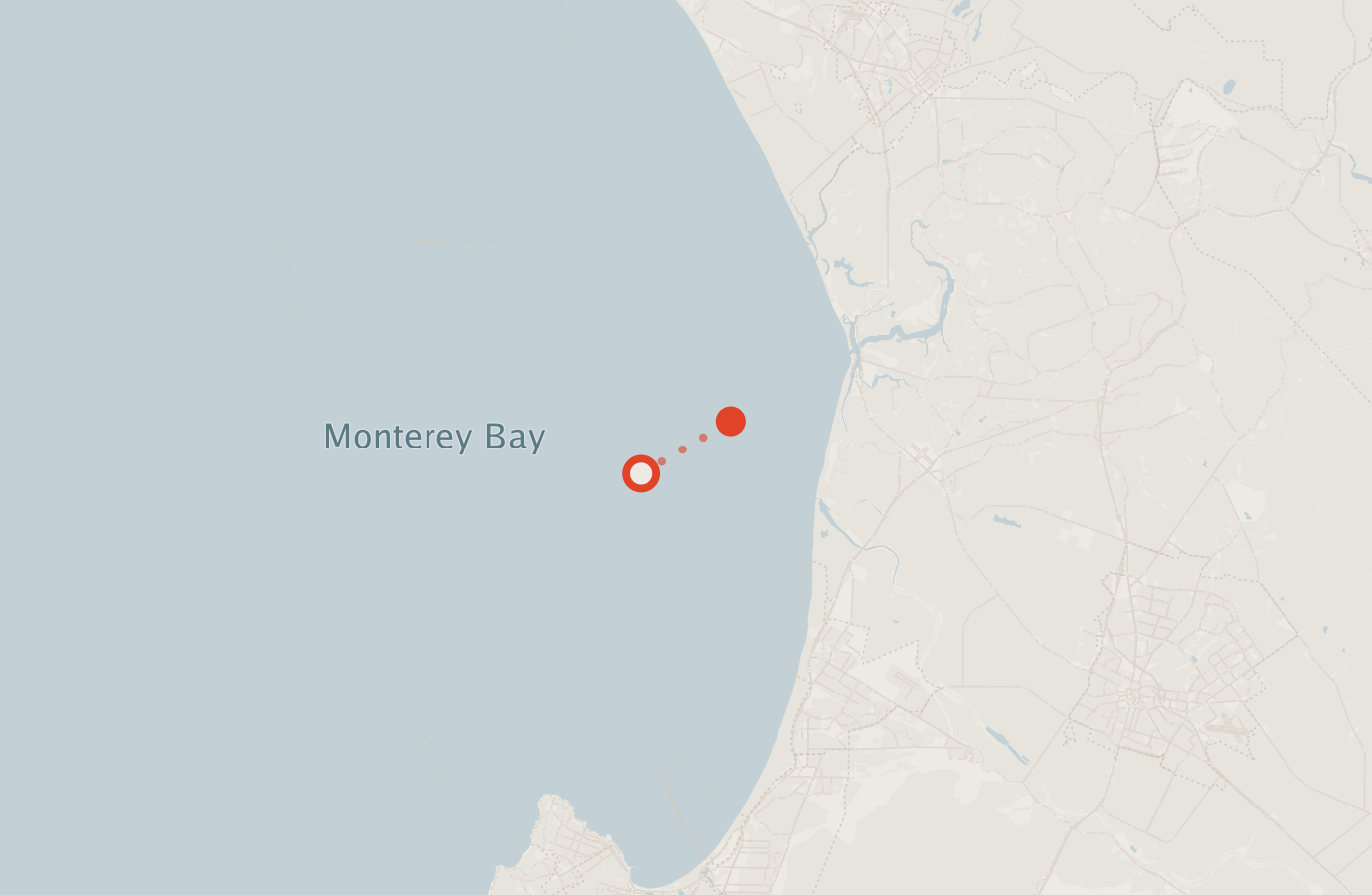 Activity map — real sighting points on an OpenStreetMap basemap