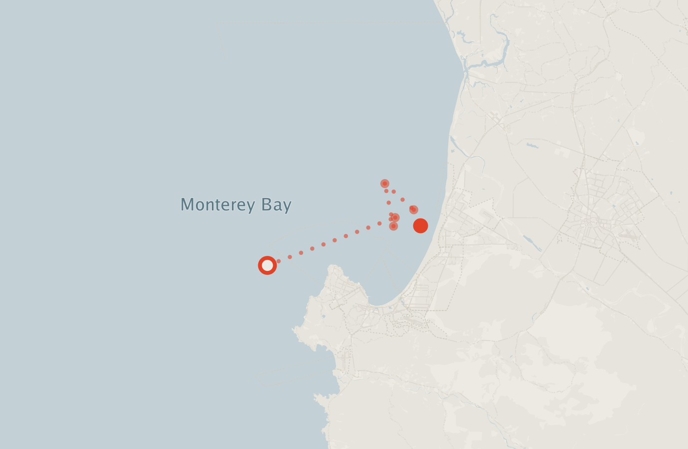 Activity map — real sighting points on an OpenStreetMap basemap