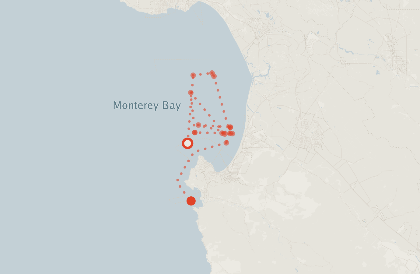Activity map — real sighting points on an OpenStreetMap basemap