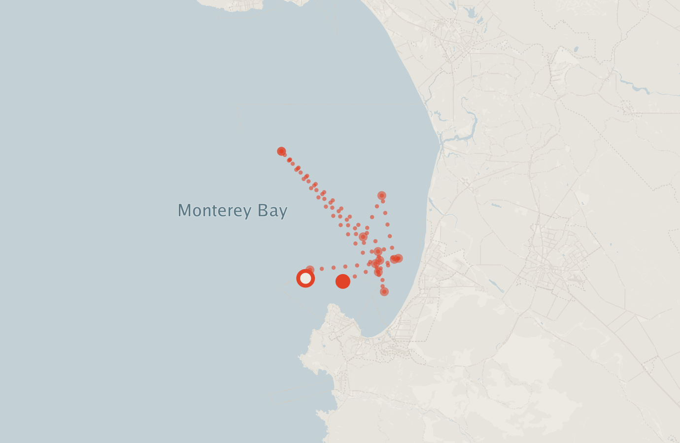 Activity map — real sighting points on an OpenStreetMap basemap