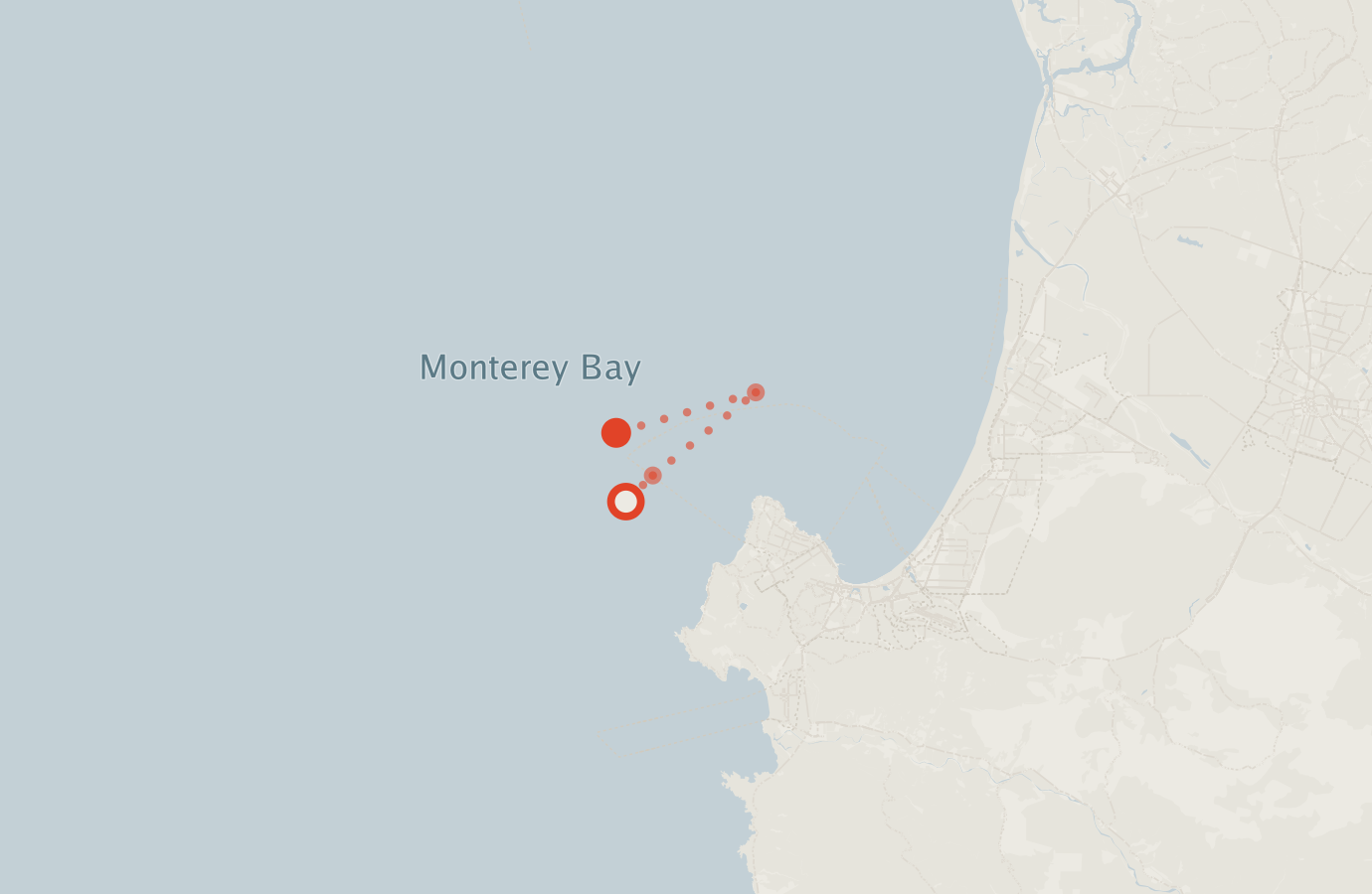 Activity map — real sighting points on an OpenStreetMap basemap