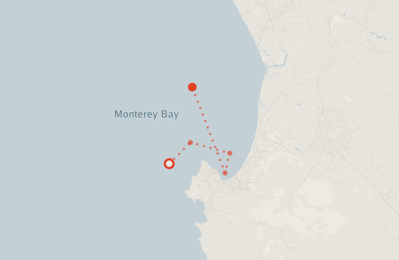 Activity map — real sighting points on an OpenStreetMap basemap